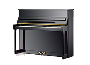 Schimmel International