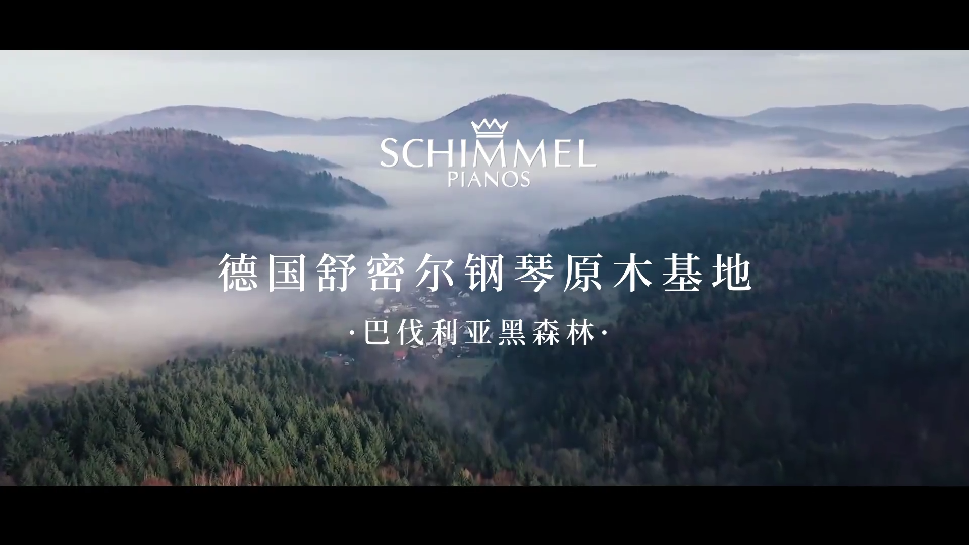 SCHIMMEL钢琴音板|源自黑森林的和鸣 尽显刚柔并济之美